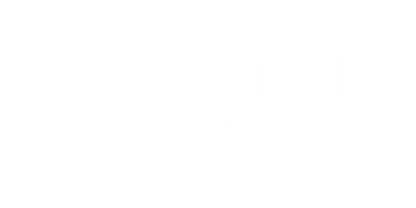 nice-fly-consultants